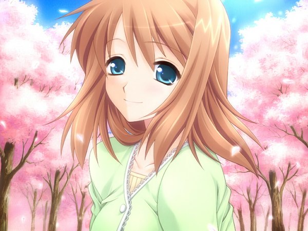 Anime picture 1024x768 with komorebi no namikimichi yuuki mitsuru single looking at viewer blue eyes smile brown hair game cg cherry blossoms girl