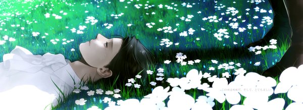 Anime picture 1849x674 with shingeki no kyojin production i.g levi (rivaille) johnny lmd single short hair blue eyes brown hair wide image profile looking up flower (flowers) plant (plants) shirt tree (trees) grass