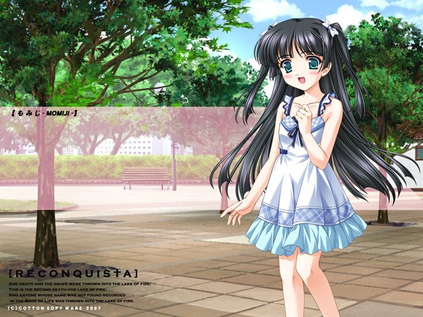Anime picture 1024x768 with reconquista makino momiji blush black hair smile two side up dress