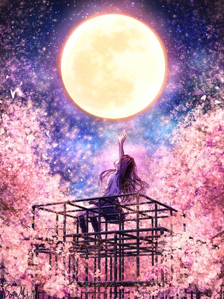 Anime picture 600x800 with original sato mi single long hair tall image brown hair sitting sky pleated skirt arm up night night sky cherry blossoms back glow twisty sleeves spring girl skirt plant (plants)
