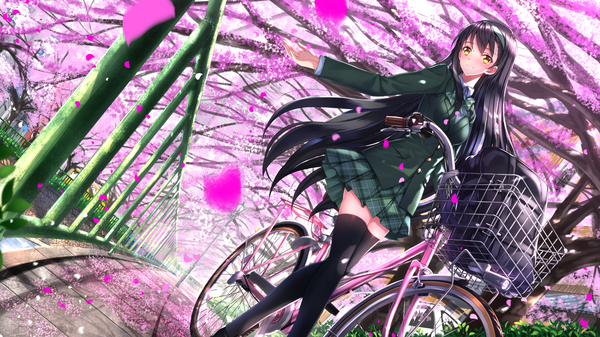 Anime picture 1920x1080 with original swordsouls single long hair looking at viewer blush highres black hair wide image yellow eyes cherry blossoms girl thighhighs skirt uniform black thighhighs plant (plants) school uniform petals tree (trees)