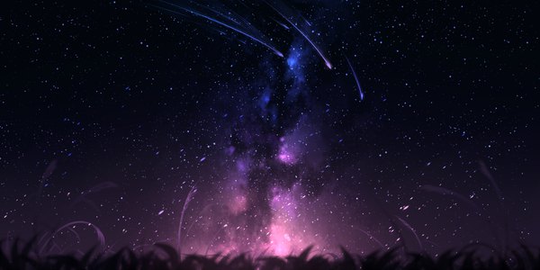 Anime picture 2160x1080 with original 15107122722 highres wide image blurry night night sky no people shooting star milky way meteor rain plant (plants) star (stars) grass