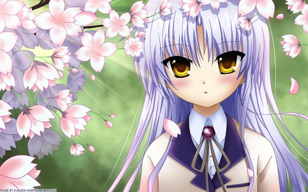 Anime picture 1920x1200 with angel beats! key (studio) tachibana kanade blush highres blonde hair wide image yellow eyes silver hair cherry blossoms girl serafuku