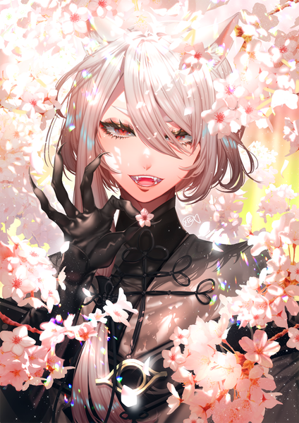 Anime picture 1000x1415 with kengatoki hagi ransetsu yakusuke single tall image fringe short hair open mouth hair between eyes red eyes holding animal ears traditional clothes grey hair sunlight cat ears hair over one eye fang (fangs) cherry blossoms chinese clothes