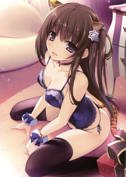 Anime picture 2219x3121 with original comic toranoana karory single long hair tall image looking at viewer blush highres breasts open mouth light erotic black hair purple eyes animal ears tail animal tail scan official art girl