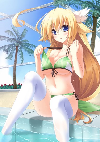 Anime picture 868x1228 with original taletale single long hair tall image blush breasts blue eyes light erotic blonde hair ahoge girl thighhighs swimsuit plant (plants) bikini white thighhighs tree (trees) water palm tree