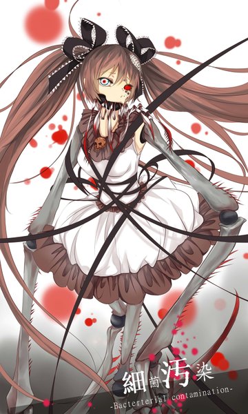 Anime picture 1008x1680 with vocaloid bacterial contamination (vocaloid) hatsune miku calcium hongmao single tall image looking at viewer red eyes brown hair twintails very long hair inscription girl dress ribbon (ribbons) hair ribbon insect blood bug
