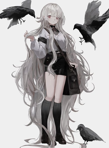 Anime picture 2139x2917 with original shou (mori boro) single tall image looking at viewer highres simple background red eyes standing silver hair full body very long hair grey background adjusting hair girl animal socks shorts bird (birds) black socks