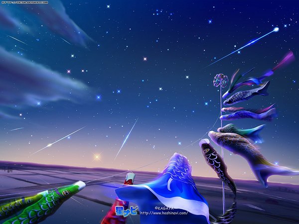 Anime picture 1024x768 with kagaya sky night night sky landscape 3d meteor rain star (stars) fish (fishes)