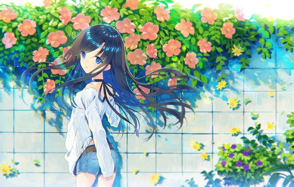 Anime-Bild 2361x1500 mit original rugo single long hair highres blue eyes black hair standing looking away from behind sunlight blurry off shoulder depth of field floating hair sleeves past wrists girl flower (flowers) plant (plants) belt