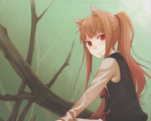 Anime picture 1280x1024 with spice and wolf horo ayakura juu animal ears tagme
