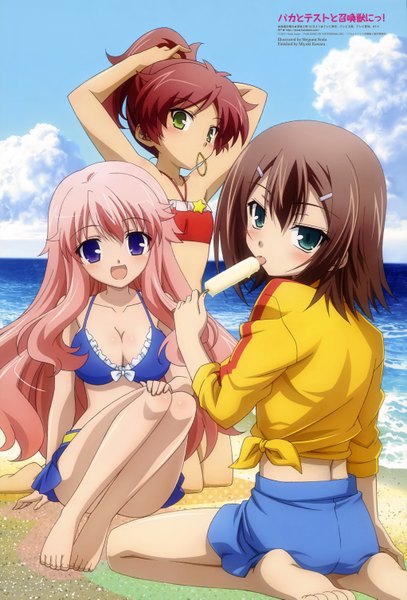 Anime picture 4085x6019 with baka to test to shoukanjuu megami magazine silver link kinoshita hideyoshi himeji mizuki shimada minami long hair tall image blush highres short hair blue eyes brown hair purple eyes multiple girls holding green eyes pink hair absurdres sky