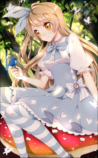 Anime picture 900x1439 with love live! school idol project alice in wonderland sunrise (studio) love live! minami kotori kimey single long hair tall image blush fringe blonde hair smile sitting orange eyes one side up looking down bird on hand girl thighhighs