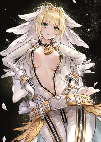 Anime picture 666x932 with fate (series) fate/grand order fate/extra fate/extra ccc nero claudius (fate) nero claudius (bride) (fate) asle single tall image looking at viewer blush fringe short hair breasts open mouth light erotic simple background blonde hair large breasts standing