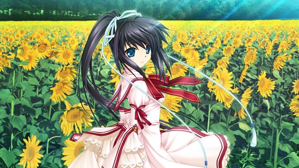 Anime picture 1280x720 with rewrite konohana lucia long hair blue eyes black hair wide image game cg ponytail field girl dress ribbon (ribbons) hair ribbon sunflower
