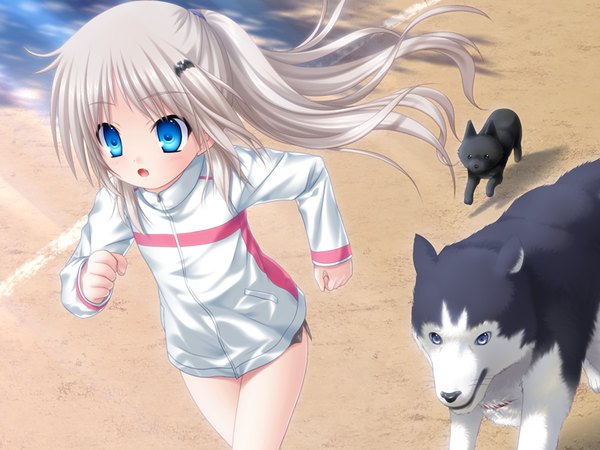 Anime picture 1200x900 with little busters! key (studio) noumi kudryavka na-ga blue eyes blonde hair game cg loli beach running girl animal dog