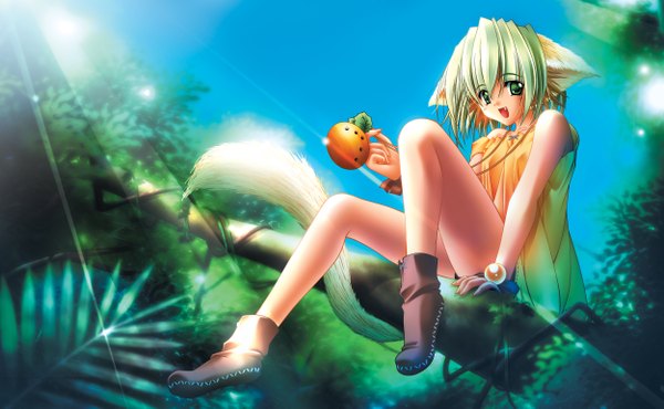 Anime picture 2500x1545 with carnelian highres short hair wide image green eyes animal ears tail green hair teeth cat girl fang (fangs) girl