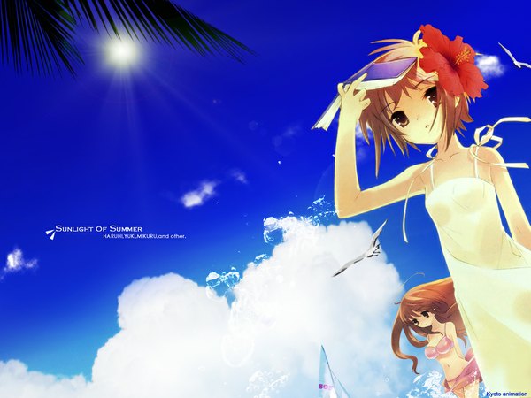 Anime picture 1024x768 with suzumiya haruhi no yuutsu kyoto animation nagato yuki asahina mikuru breasts large breasts sky cloud (clouds) wallpaper ranguage engrish girl dress flower (flowers) swimsuit hat animal bikini water bird (birds)