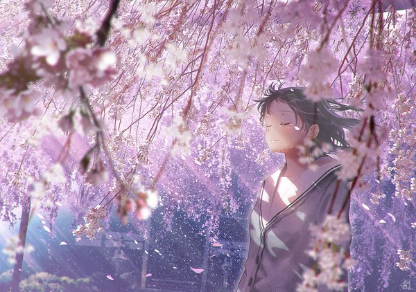 Anime picture 1281x903 with original mocha (cotton) single long hair blush black hair standing signed upper body outdoors eyes closed wind sunlight depth of field tears cherry blossoms girl uniform flower (flowers) petals
