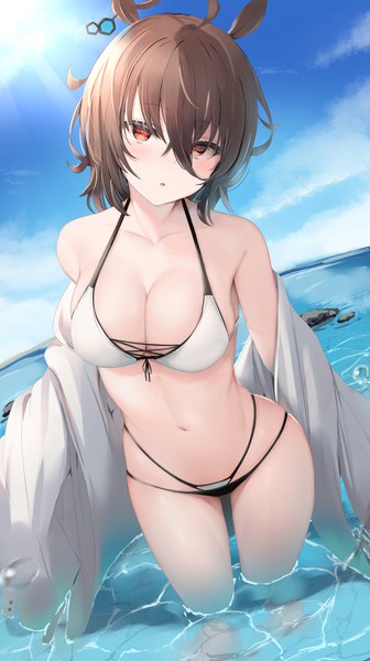 Anime picture 840x1500 with umamusume agnes tachyon (umamusume) reinama single tall image looking at viewer blush fringe short hair breasts open mouth light erotic hair between eyes red eyes brown hair large breasts standing animal ears sky cleavage