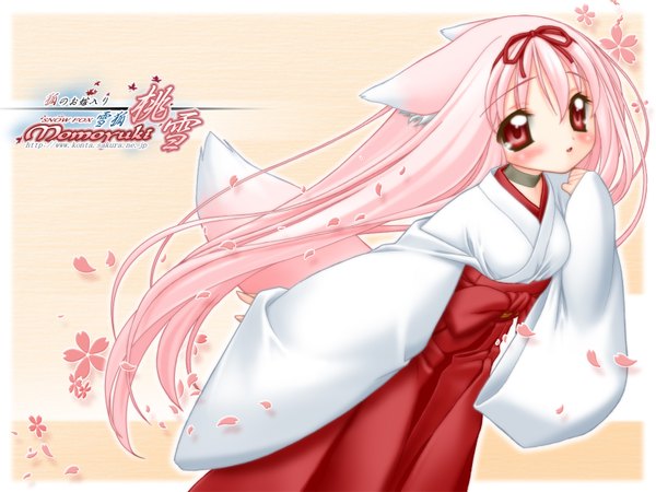 Anime picture 1600x1200 with snow fox momoyuki nakajima konta loli wallpaper miko kitsune youkai