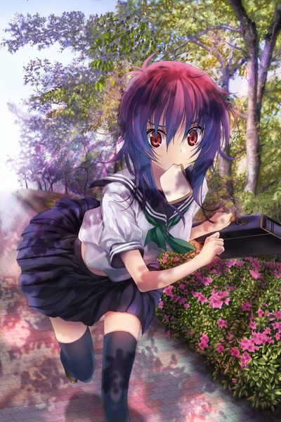 Anime picture 800x1198 with original zen99 single long hair tall image looking at viewer red eyes purple eyes pink eyes multicolored hair two-tone hair shadow running toast in mouth girl thighhighs skirt uniform flower (flowers) black thighhighs