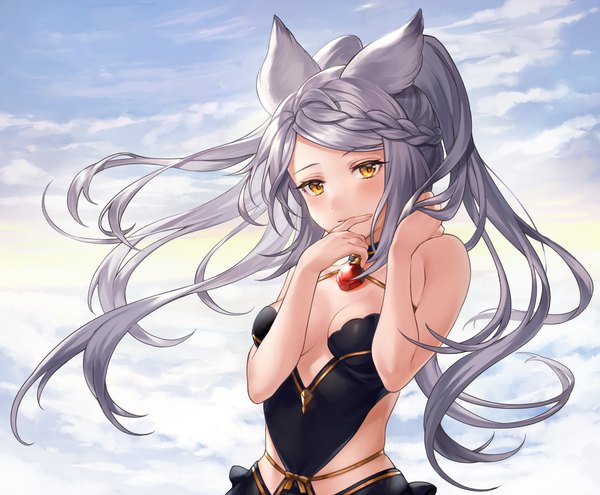 Anime picture 1212x1000 with granblue fantasy fraux shiao single long hair looking at viewer breasts light erotic animal ears yellow eyes sky cleavage silver hair cloud (clouds) upper body ponytail braid (braids) erune girl