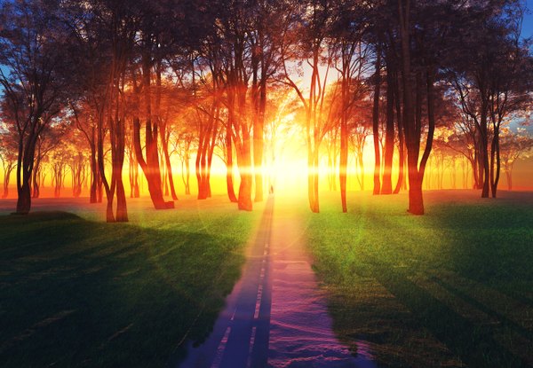 Аниме картинка 1300x900 с оригинальное изображение y-k небо тень горизонт утро восход растение (растения) дерево (деревья) трава солнце