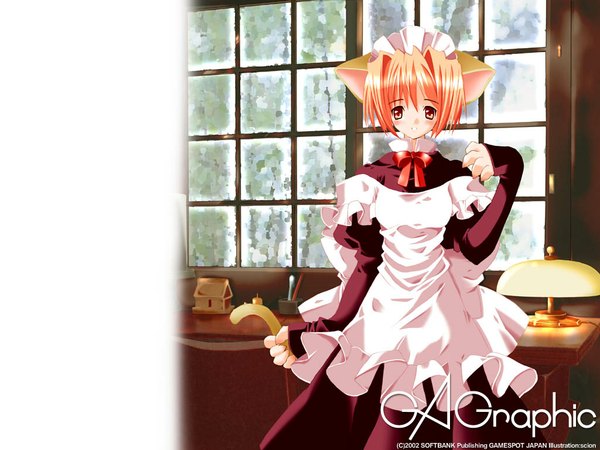 Anime picture 1024x768 with gagraphic scion single looking at viewer blush fringe short hair hair between eyes standing signed animal ears indoors tail long sleeves animal tail cat ears orange hair maid cat girl cat tail