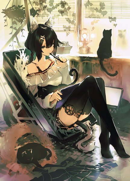 Anime picture 1322x1839 with original garuku single long hair tall image looking at viewer fringe black hair hair between eyes sitting holding brown eyes signed animal ears payot full body indoors tail animal tail cat ears