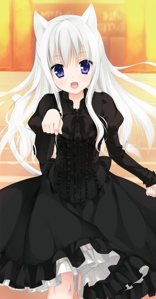 Anime picture 1536x2936 with original kobuichi single long hair tall image looking at viewer blue eyes animal ears white hair tail animal tail cat ears cat girl cat tail girl dress