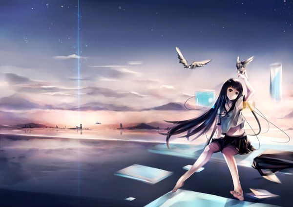 Anime-Bild 1920x1355 mit original oyeung long hair highres black hair cloud (clouds) barefoot black eyes legs evening sunset girl skirt miniskirt animal serafuku bird (birds)