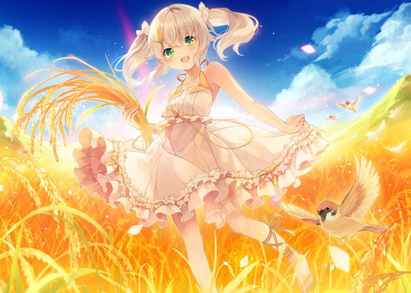 Anime picture 1920x1367 with original shinia single long hair looking at viewer blush highres open mouth twintails green eyes sky cloud (clouds) white hair field girl dress animal white dress bird (birds) sundress