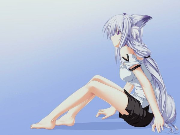 Anime picture 1024x768 with inakoi kuzuha single long hair simple background sitting purple eyes bare shoulders animal ears silver hair profile barefoot blue background girl shorts