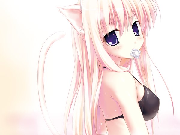 Anime picture 1600x1200 with original fujisaki rei single long hair looking at viewer blush breasts light erotic blonde hair white background purple eyes animal ears tail animal tail cat ears cat girl cat tail wallpaper covered nipples condom in mouth