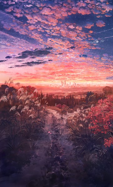 Anime picture 1389x2300 with original cola (pixiv) tall image sky cloud (clouds) city evening sunset landscape scenic river plant (plants) skyscraper