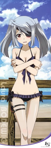 Anime picture 2003x5710 with infinite stratos 8bit laura bodewig single long hair tall image blush highres open mouth light erotic red eyes twintails sky cloud (clouds) grey hair ass visible through thighs girl navel swimsuit bikini