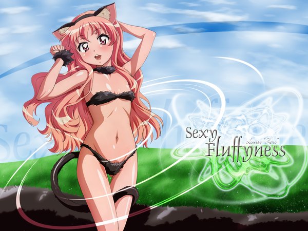 Anime picture 2048x1536 with zero no tsukaima j.c. staff louise francoise le blanc de la valliere long hair blush highres light erotic animal ears pink hair cat ears cat girl cat tail underwear only girl underwear panties