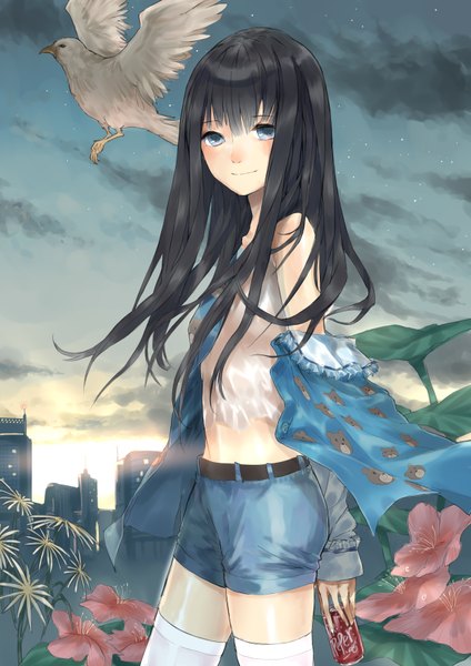 Anime picture 2480x3507 with kamisama no memochou dr pepper shionji yuuko (alice) single long hair tall image looking at viewer highres blue eyes black hair sky cloud (clouds) girl thighhighs flower (flowers) animal white thighhighs shorts bird (birds)