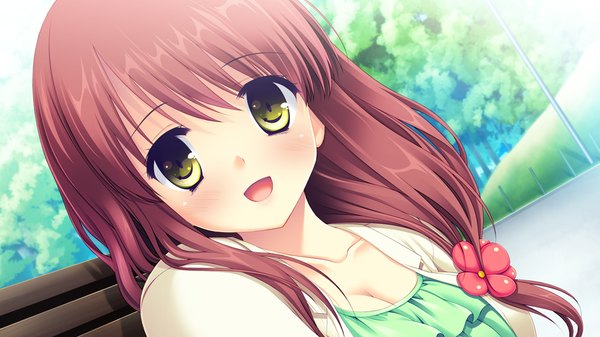 Anime picture 1024x576 with lovely quest long hair blush open mouth brown hair wide image yellow eyes game cg girl hair ornament