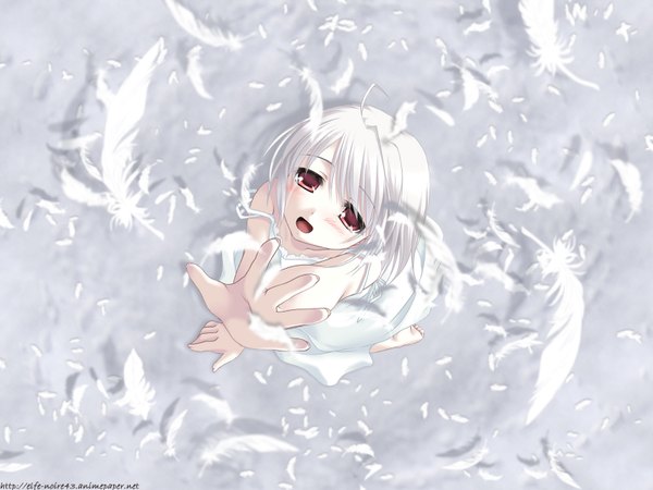 Anime picture 1600x1200 with white clarity short hair red eyes white hair barefoot from above girl dress white dress feather (feathers) hand