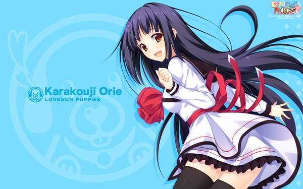 Anime picture 1920x1200 with lovesick puppies karakouji orie sankuro single long hair highres open mouth black hair wide image yellow eyes looking back blue background girl thighhighs uniform black thighhighs school uniform