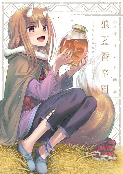 Anime picture 1811x2560 with spice and wolf horo koume keito single long hair tall image blush fringe highres open mouth hair between eyes red eyes brown hair sitting holding animal ears payot full body bent knee (knees) tail