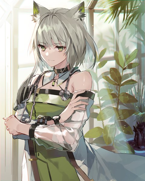 Anime picture 910x1134 with arknights kal'tsit (arknights) eihi single tall image looking at viewer fringe short hair hair between eyes green eyes animal ears silver hair upper body indoors sunlight crossed arms girl plant (plants) window transparent clothing