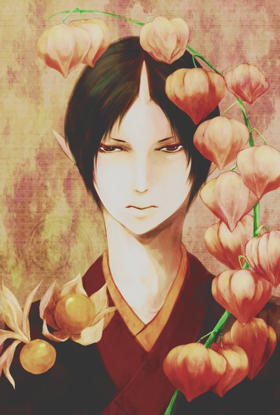 Anime picture 1181x1748 with hoozuki no reitetsu wit studio hoozuki (hoozuki no reitetsu) matsumoto (pixiv 1171609) single tall image short hair black hair red eyes traditional clothes japanese clothes horn (horns) pointy ears portrait face serious oni horns demon boy plant (plants)