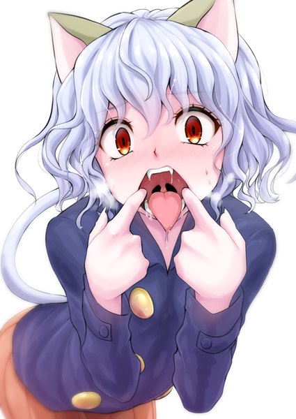 Anime-Bild 708x1000 mit hunter x hunter neferupito watarui single tall image looking at viewer fringe short hair light erotic simple background hair between eyes red eyes standing white background animal ears silver hair tail long sleeves animal tail cat ears
