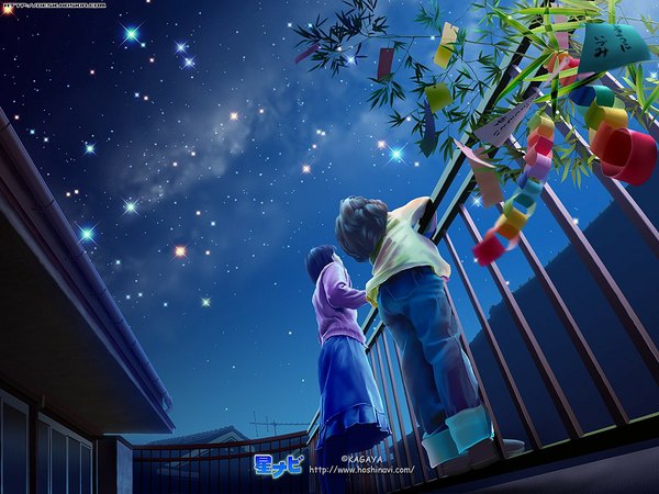 Anime picture 1024x768 with kagaya sky realistic night night sky 3d milky way girl boy plant (plants) star (stars) child (children)