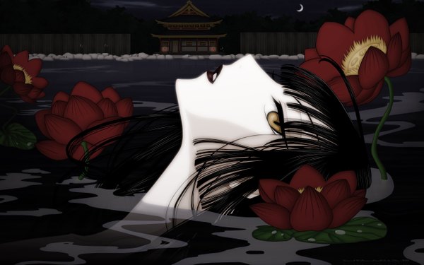 Anime picture 2560x1600 with xxxholic clamp ichihara yuuko cilou (artist) long hair highres black hair wide image yellow eyes profile night face crescent girl flower (flowers) water house
