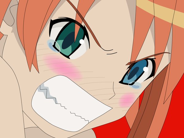 Anime picture 1280x960 with mahou sensei negima! kagurazaka asuna heterochromia close-up vector