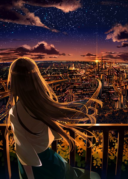 Anime picture 700x979 with original raru single long hair tall image brown hair cloud (clouds) outdoors from above wind from behind sunlight night night sky city evening sunset cityscape walking city lights